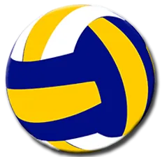 Volley ball